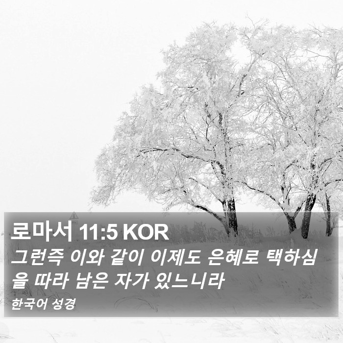 로마서 11:5 KOR Bible Study