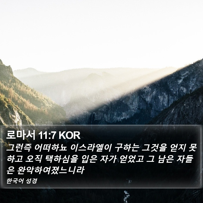 로마서 11:7 KOR Bible Study