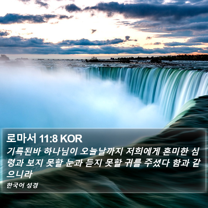 로마서 11:8 KOR Bible Study