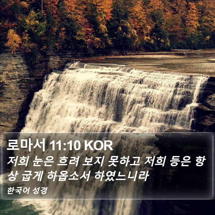 로마서 11:10 KOR Bible Study