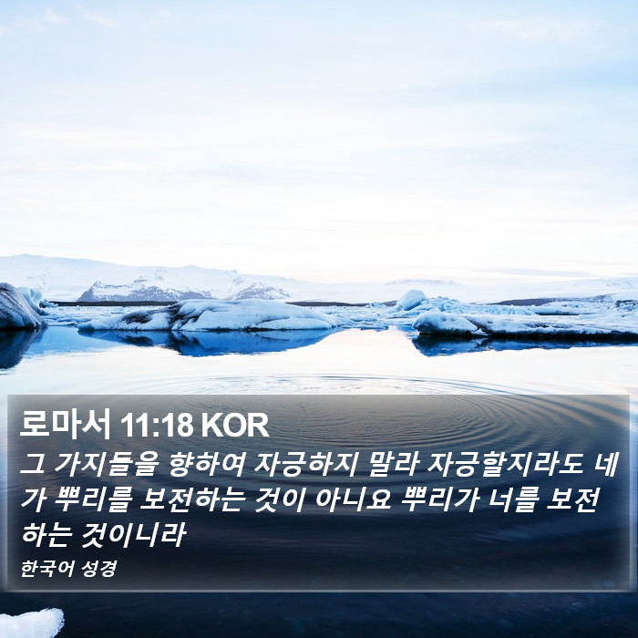 로마서 11:18 KOR Bible Study