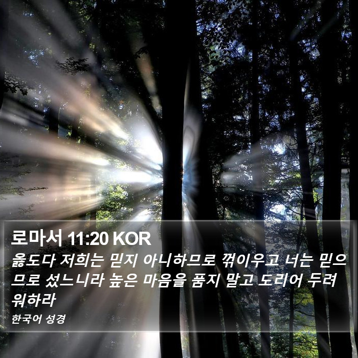 로마서 11:20 KOR Bible Study