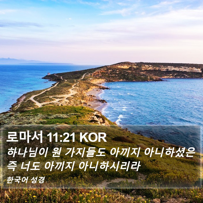 로마서 11:21 KOR Bible Study