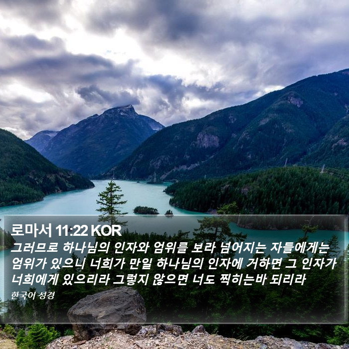 로마서 11:22 KOR Bible Study