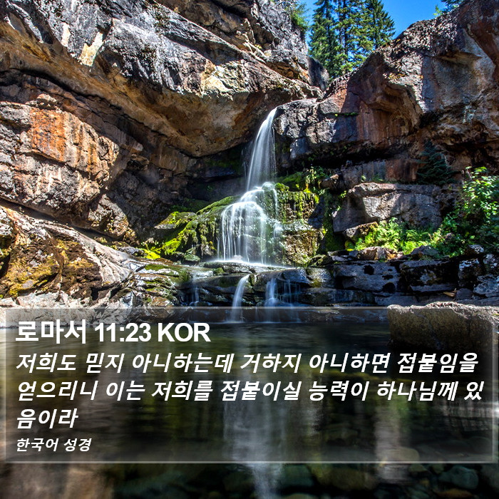 로마서 11:23 KOR Bible Study