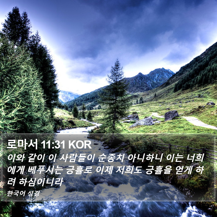 로마서 11:31 KOR Bible Study