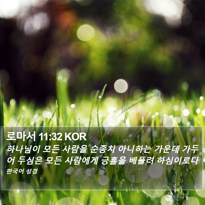 로마서 11:32 KOR Bible Study