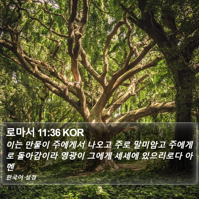 로마서 11:36 KOR Bible Study