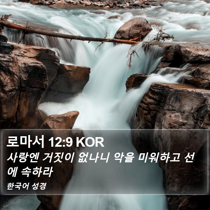 로마서 12:9 KOR Bible Study