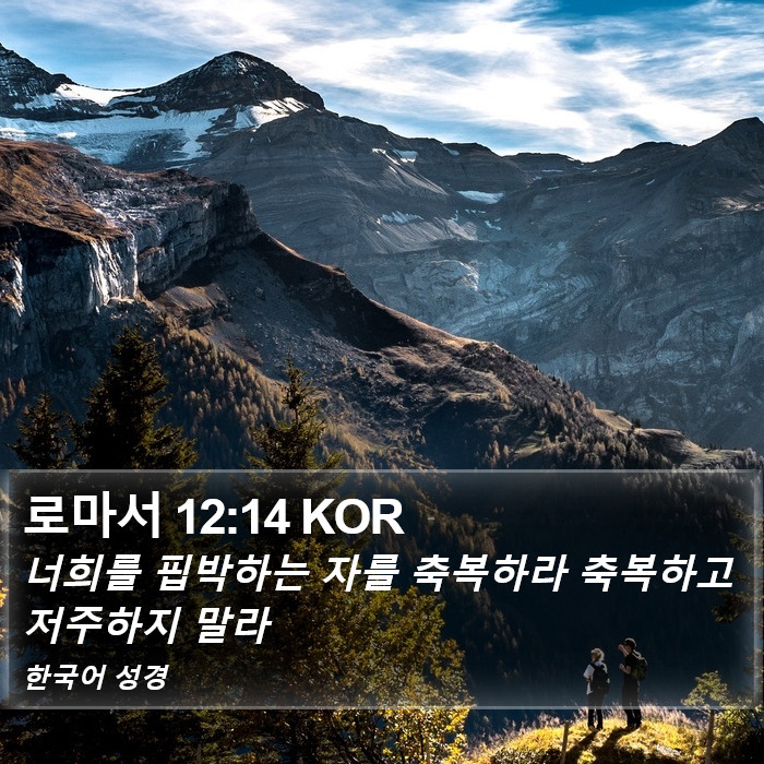 로마서 12:14 KOR Bible Study