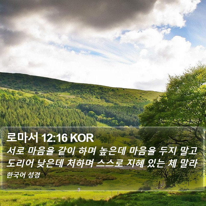 로마서 12:16 KOR Bible Study