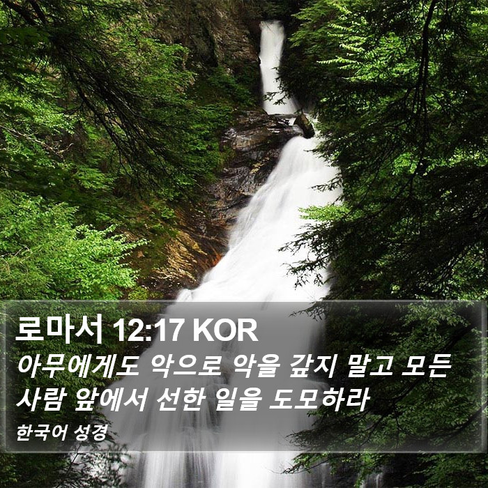 로마서 12:17 KOR Bible Study