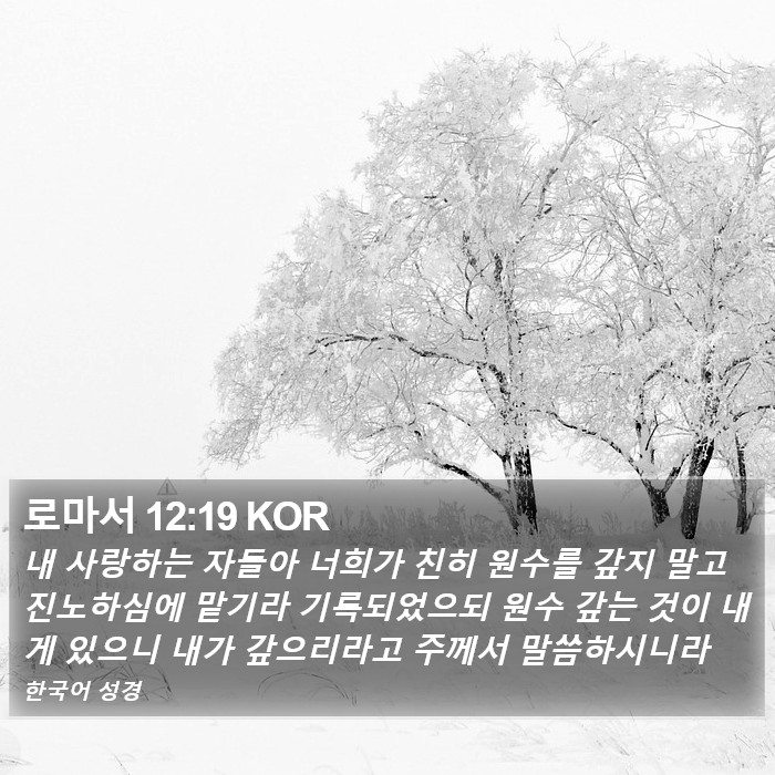 로마서 12:19 KOR Bible Study