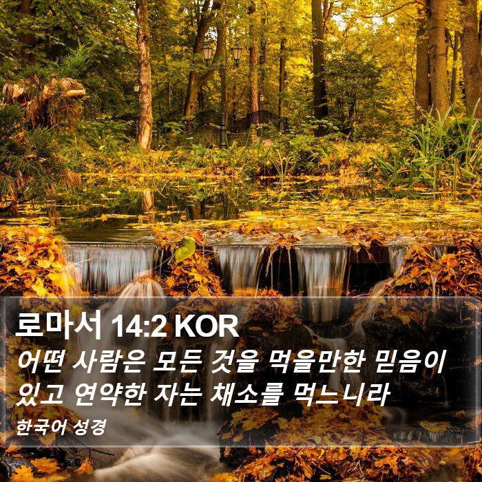 로마서 14:2 KOR Bible Study