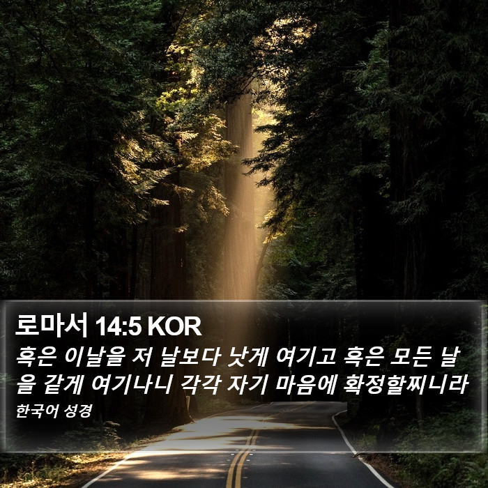 로마서 14:5 KOR Bible Study