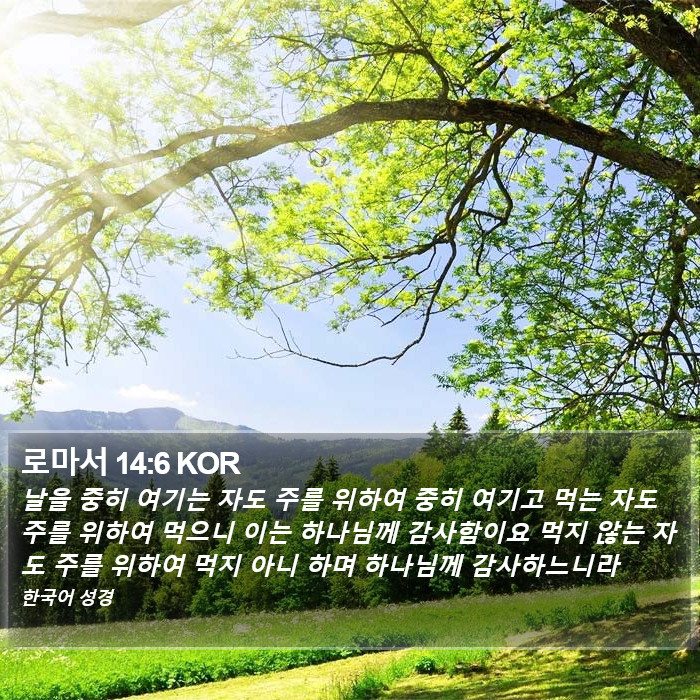 로마서 14:6 KOR Bible Study