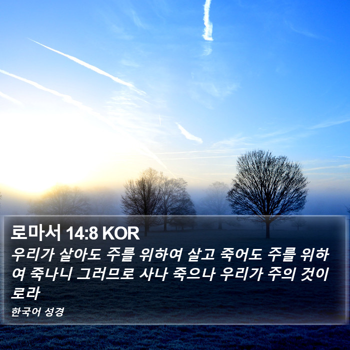 로마서 14:8 KOR Bible Study