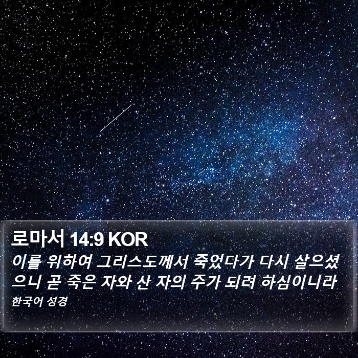 로마서 14:9 KOR Bible Study