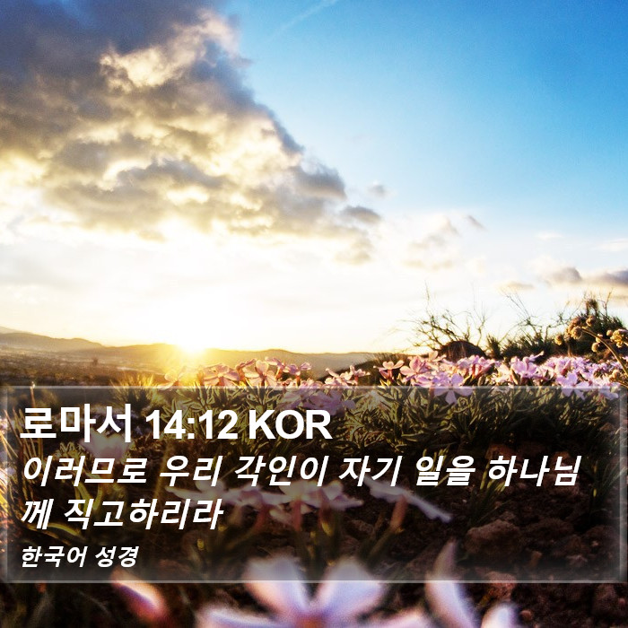 로마서 14:12 KOR Bible Study