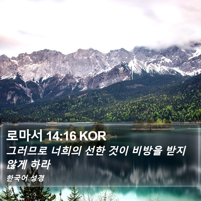 로마서 14:16 KOR Bible Study