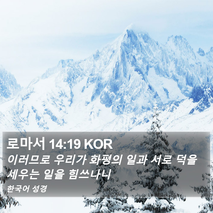 로마서 14:19 KOR Bible Study