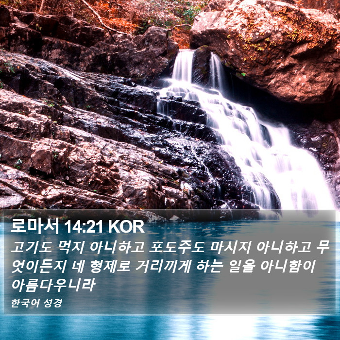 로마서 14:21 KOR Bible Study