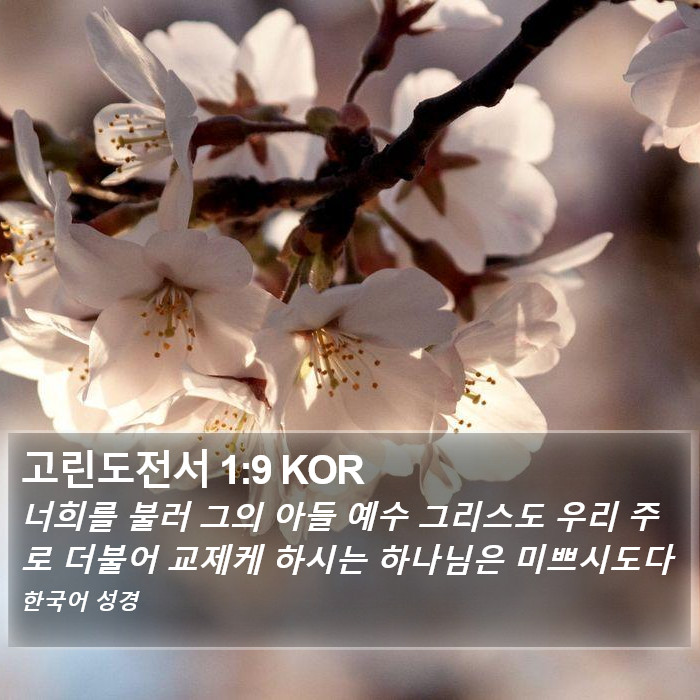 고린도전서 1:9 KOR Bible Study