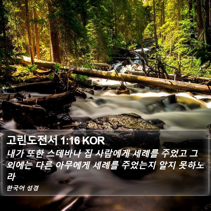 고린도전서 1:16 KOR Bible Study