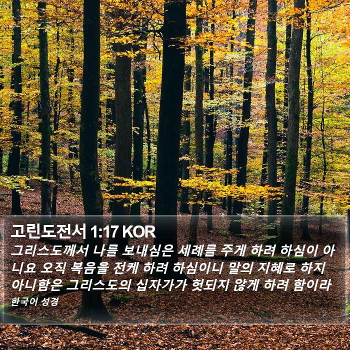 고린도전서 1:17 KOR Bible Study