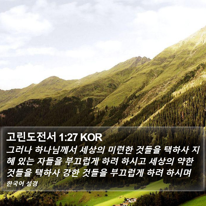 고린도전서 1:27 KOR Bible Study