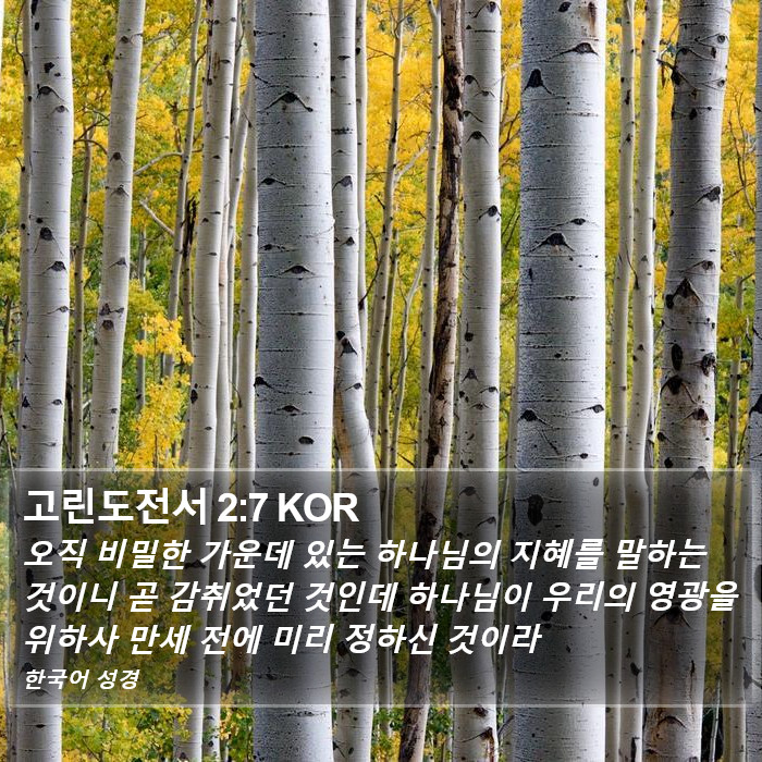 고린도전서 2:7 KOR Bible Study