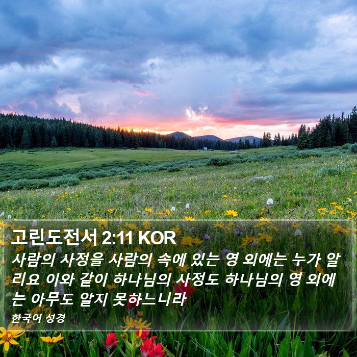 고린도전서 2:11 KOR Bible Study