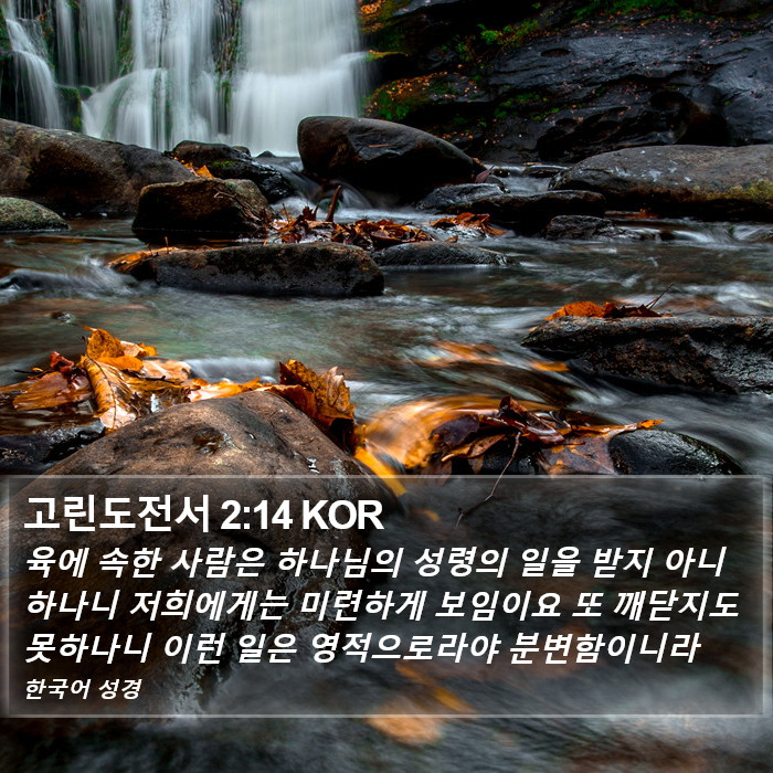 고린도전서 2:14 KOR Bible Study