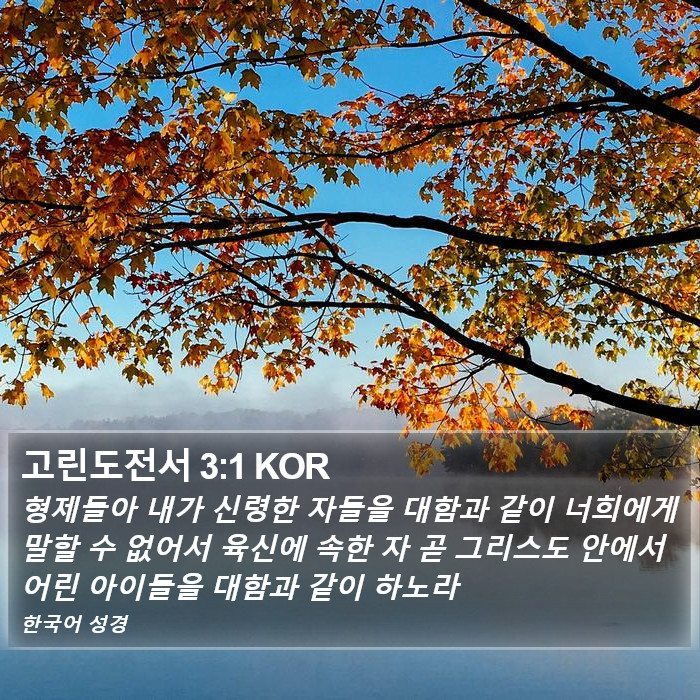 고린도전서 3:1 KOR Bible Study
