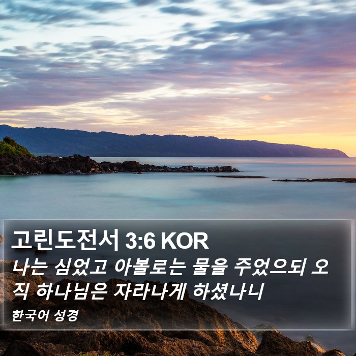 고린도전서 3:6 KOR Bible Study