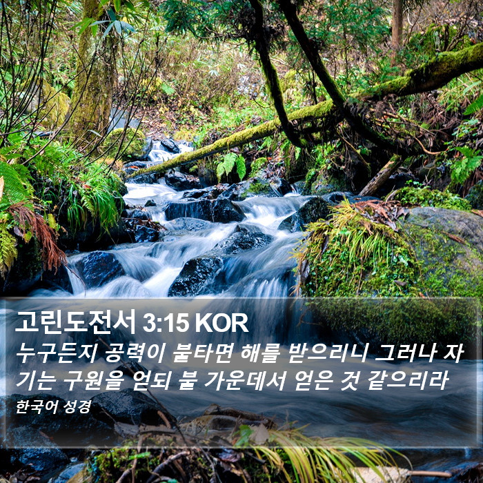 고린도전서 3:15 KOR Bible Study