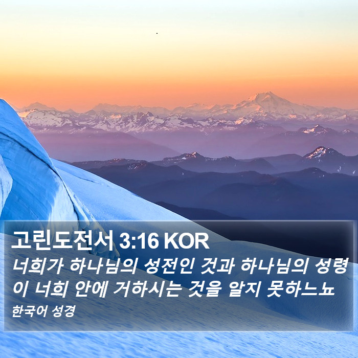고린도전서 3:16 KOR Bible Study