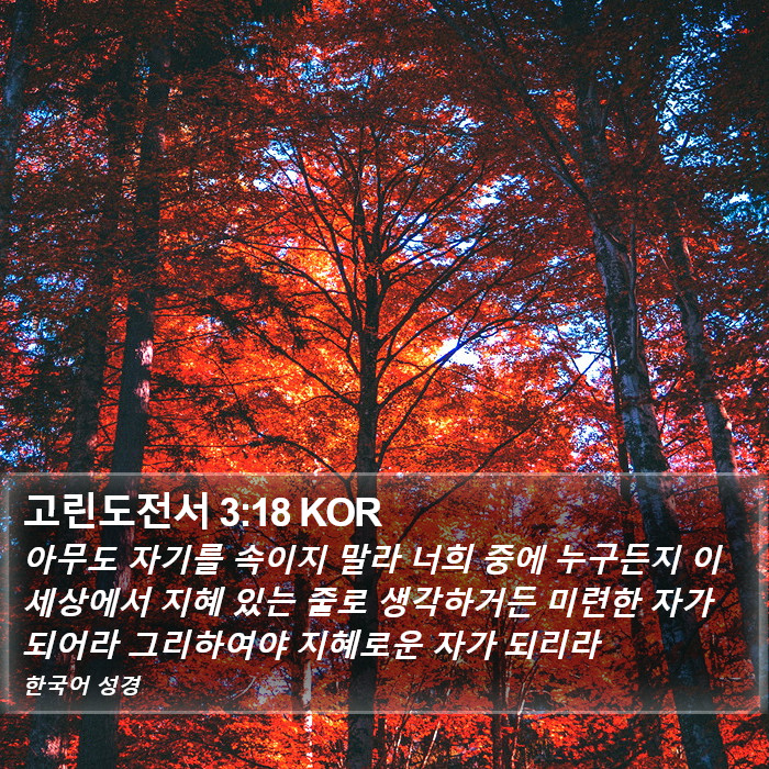 고린도전서 3:18 KOR Bible Study