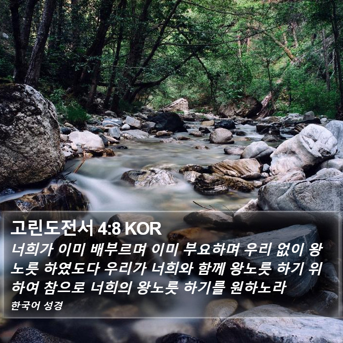 고린도전서 4:8 KOR Bible Study