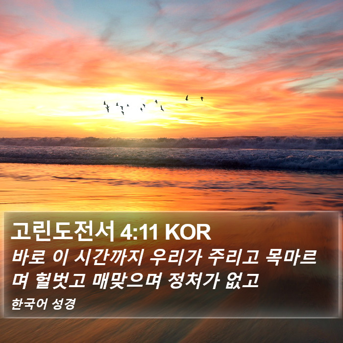 고린도전서 4:11 KOR Bible Study