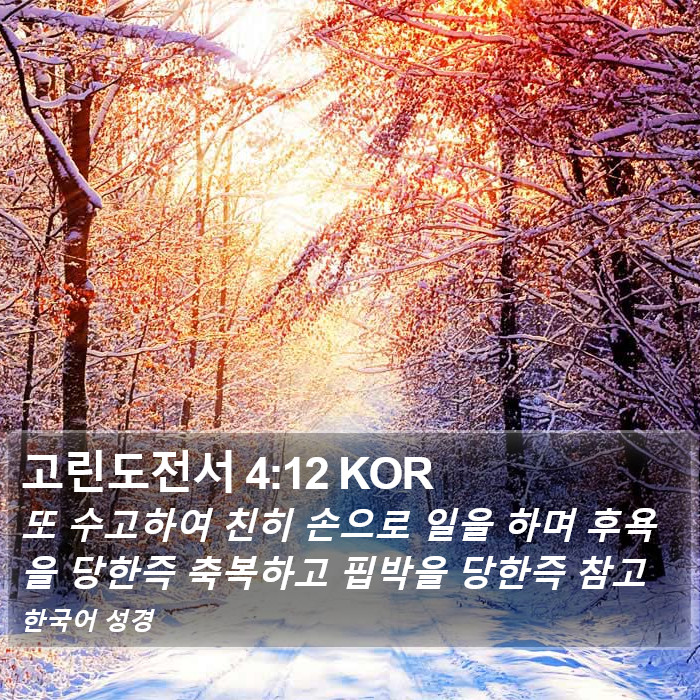 고린도전서 4:12 KOR Bible Study