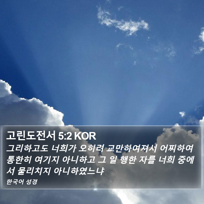 고린도전서 5:2 KOR Bible Study