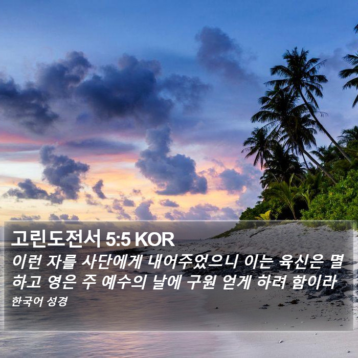 고린도전서 5:5 KOR Bible Study