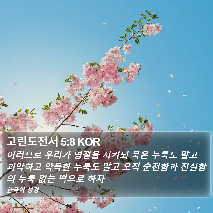 고린도전서 5:8 KOR Bible Study