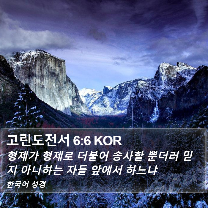 고린도전서 6:6 KOR Bible Study