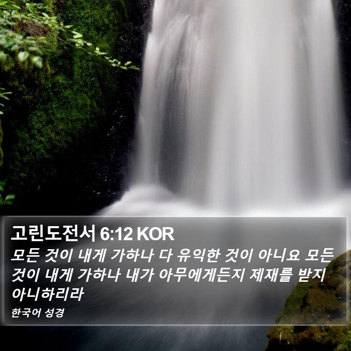 고린도전서 6:12 KOR Bible Study