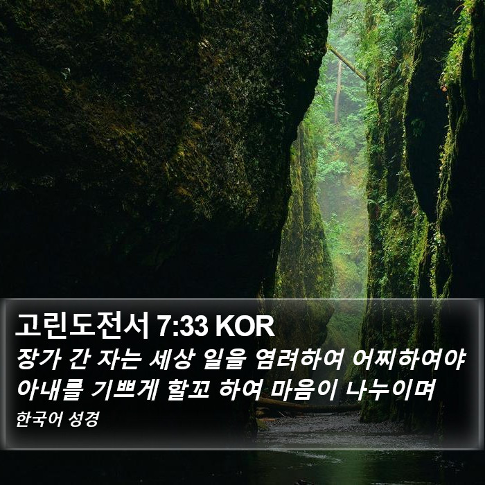 고린도전서 7:33 KOR Bible Study