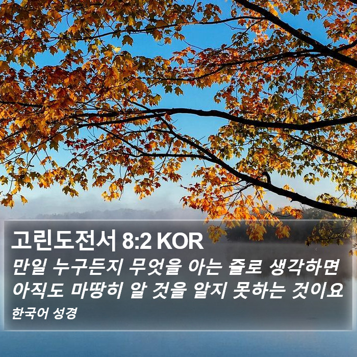 고린도전서 8:2 KOR Bible Study