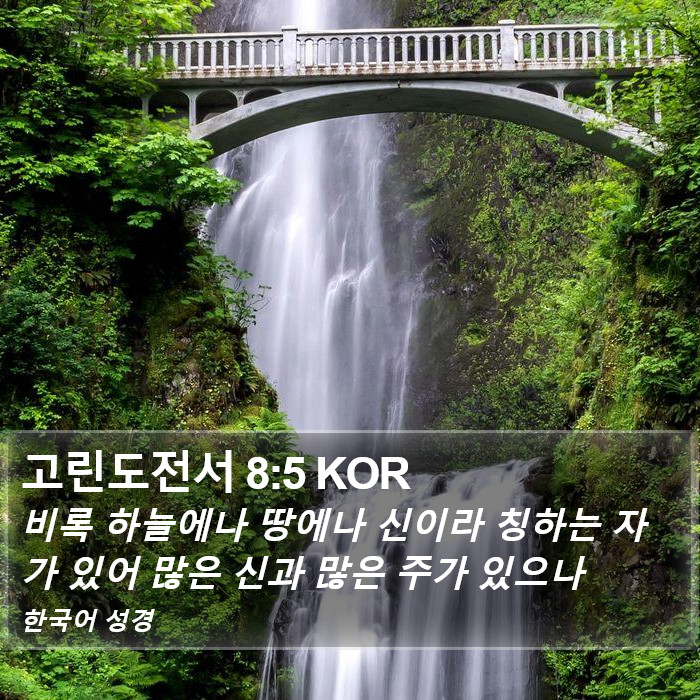 고린도전서 8:5 KOR Bible Study