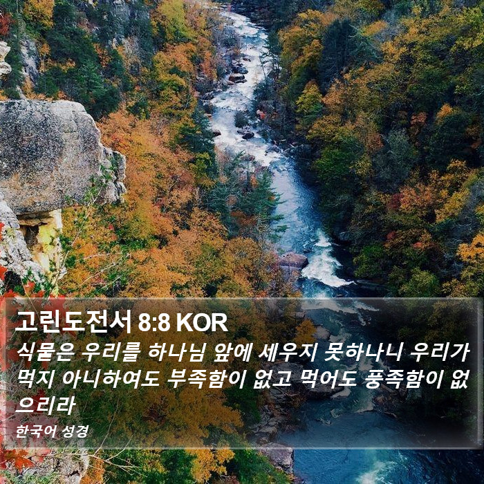 고린도전서 8:8 KOR Bible Study